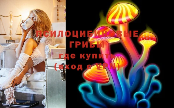 мяу мяу мука Елабуга