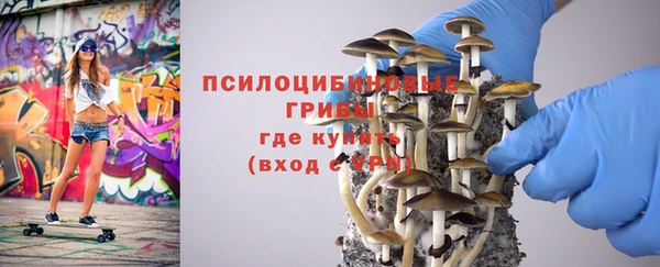 метадон Елизово