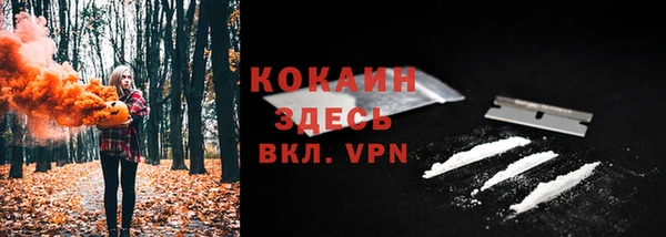 метадон Елизово