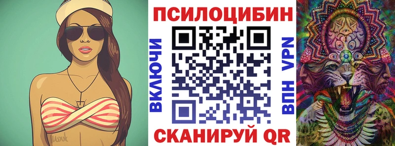 Галлюциногенные грибы Cubensis  Северо-Курильск 